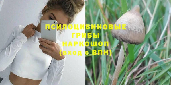стаф Нея