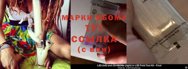 стаф Нефтекумск
