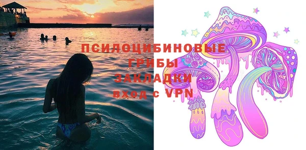 стаф Нея