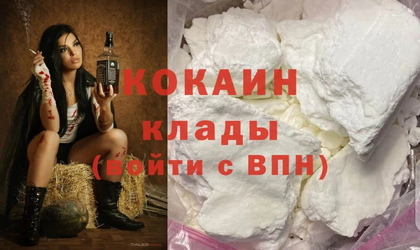 СК Новодвинск
