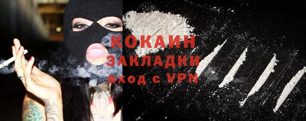 стаф Нея