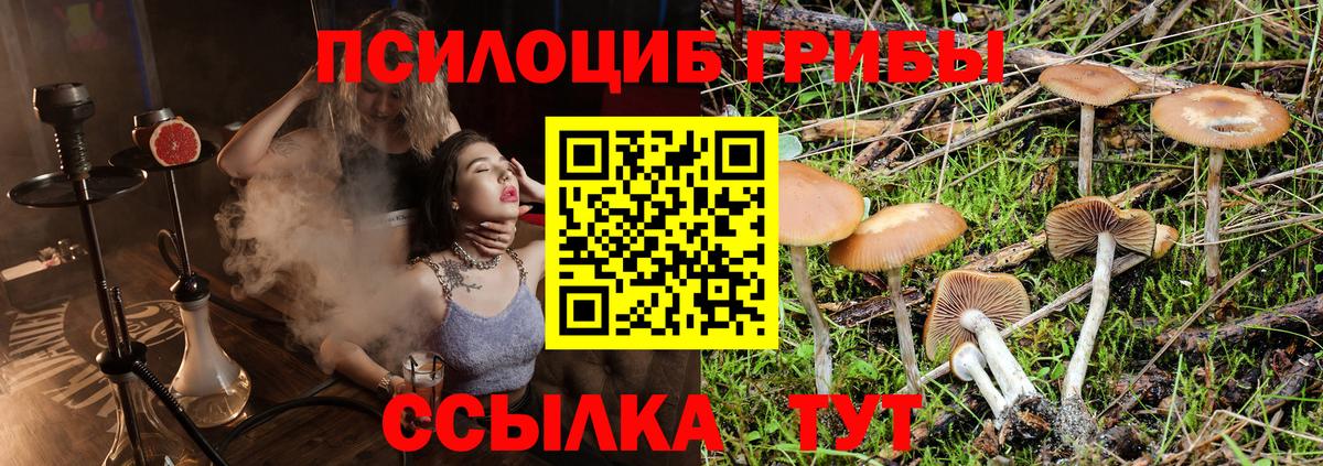 Таганрог  наркошоп  Вход с VPN  Галлюциногенные грибы прущие грибы 